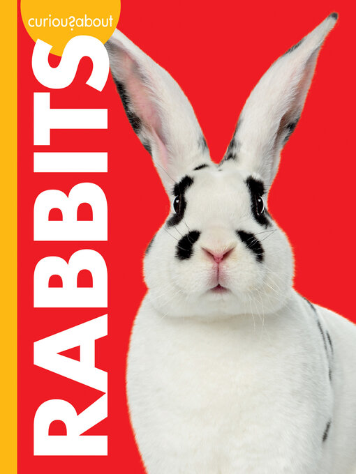 Title details for Curious about Rabbits by Jill Sherman - Available